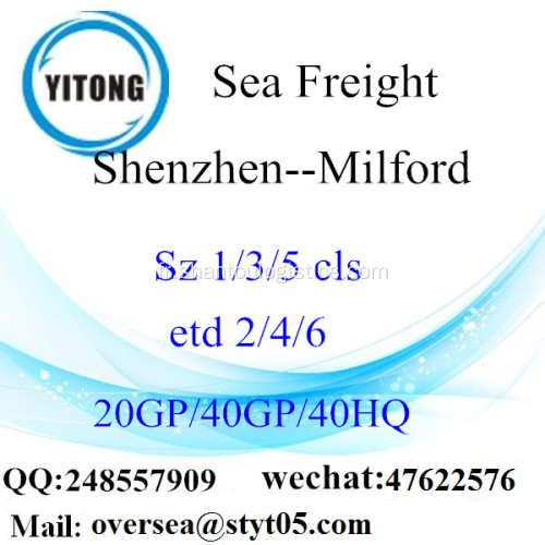Fret maritime Port de Shenzhen expédition à Milford
